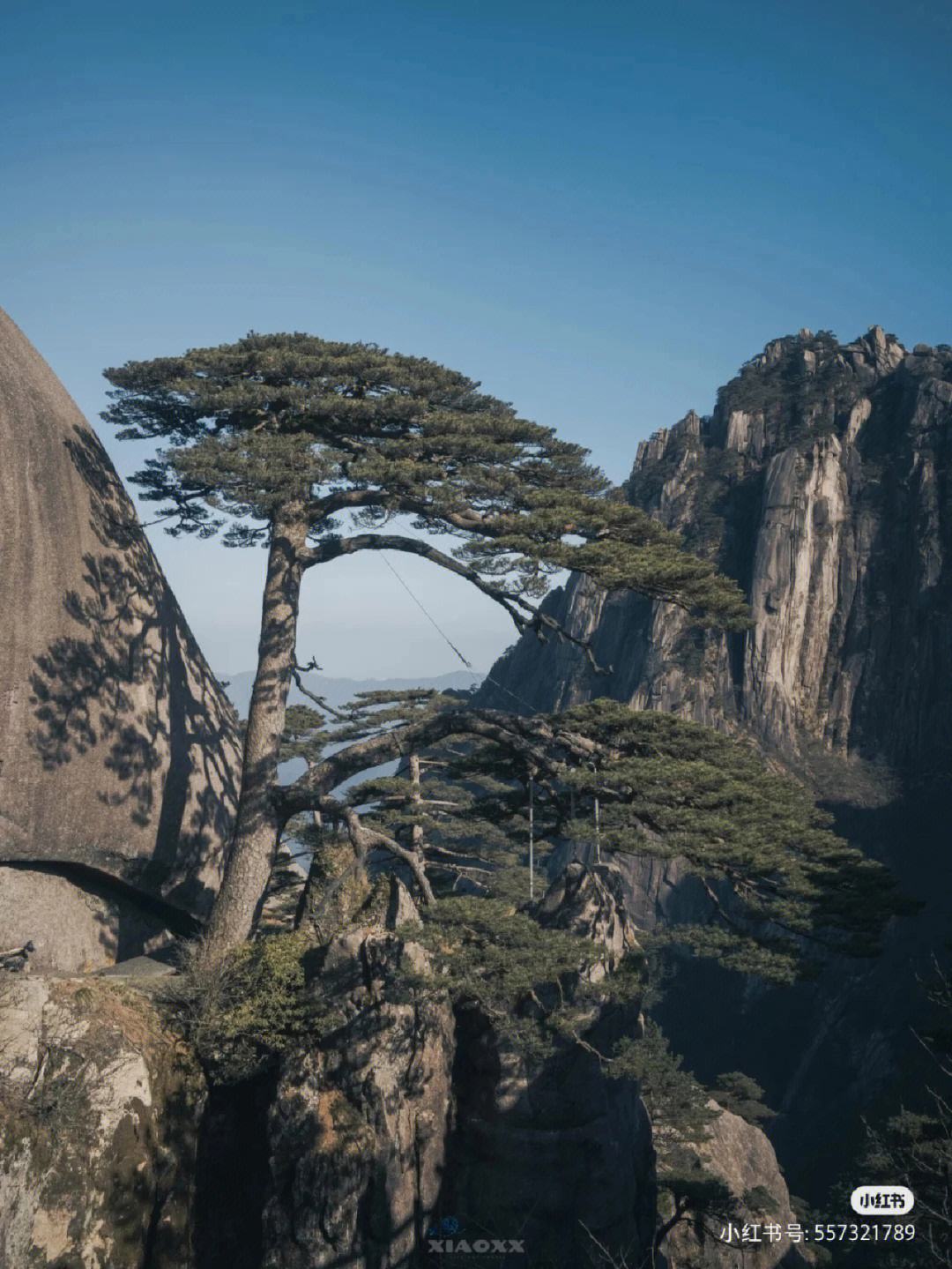 {百家樂}(黄山旅游客服中心电话)