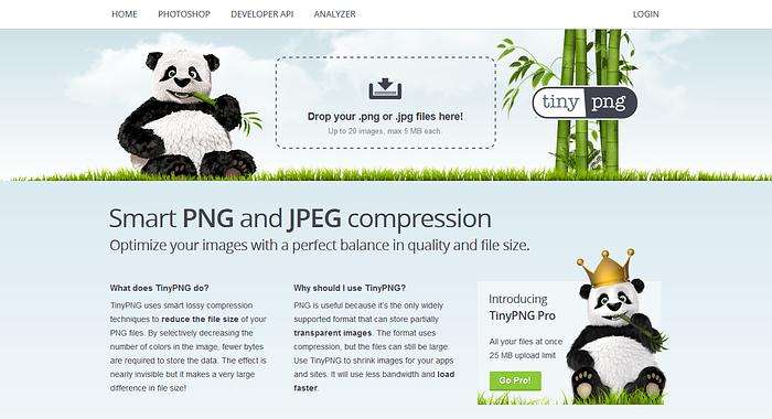 {21點}(专门写文章的网站叫什么)